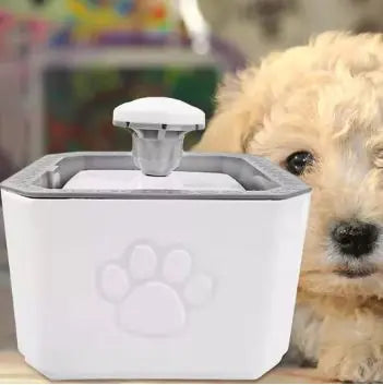 Fontaine à eau pour animaux de compagnie