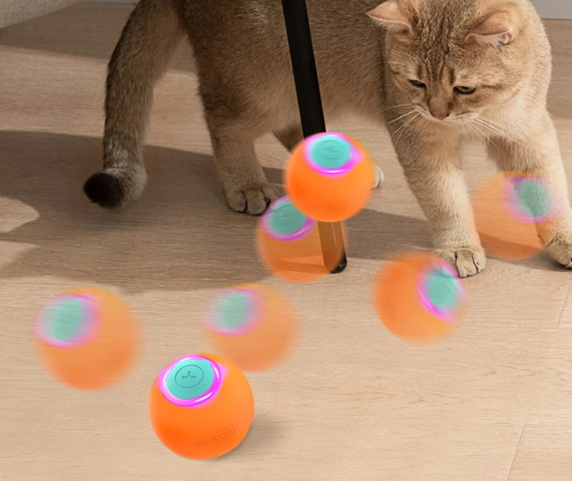 Jouets intelligents pour animaux de compagnie